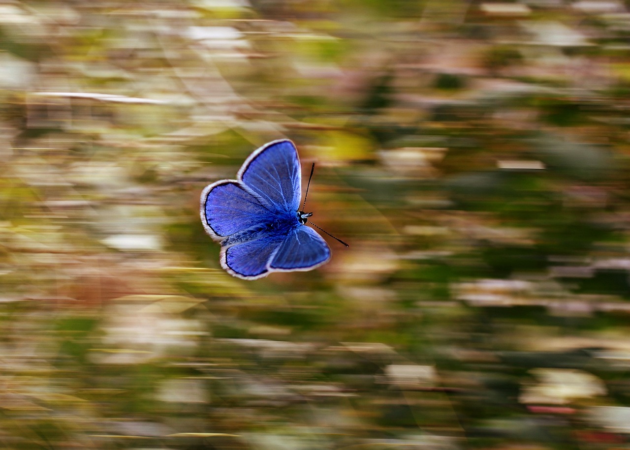 The Role of Natural Pesticides in Eco-Friendly Farming